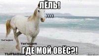 лёль! где мой овёс?!