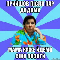 прийшов після пар додому мама каже йдемо сіно возити