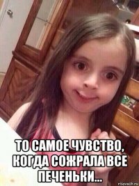  то самое чувство, когда сожрала все печеньки...