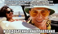 у нас было 2 недели до диплома, 75 таблеток мескалина, 5 упаковок кислоты, пол-солонки кокаина и 2 одобренных направления