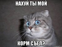 нахуй ты мой корм съел?