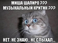 миша шапиро ??? музыкальный критик ??? нет. не знаю.. не слыхал...