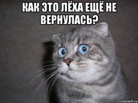 как это лёха ещё не вернулась? 