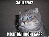 зачееем? мозг выносить???