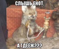 слышь енот, а гдеёж???