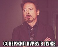  совержил курву в луже