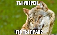 ты уверен... что ты прав?