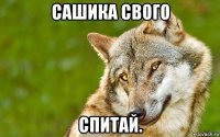 сашика свого спитай.