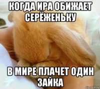 когда ира обижает серёженьку в мире плачет один зайка