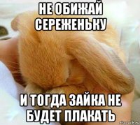 не обижай сереженьку и тогда зайка не будет плакать