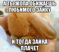 а ты жопа обижаешь любимого зайку и тогда зайка плачет