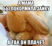 а мама бы,покормила зайку а так он плачет