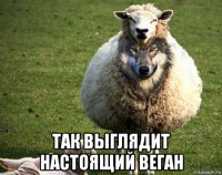  так выглядит настоящий веган