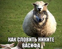  как словить никите васифа