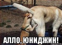  алло, юниджин!