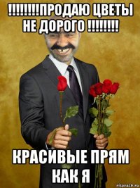 !!!!!!!!продаю цветы не дорого !!!!!!!! красивые прям как я