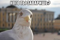 кого ты заваришь? 