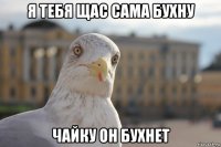 я тебя щас сама бухну чайку он бухнет