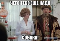 чего тебе еще надо собака!