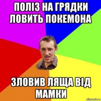 поліз на грядки ловить покемона зловив ляща від мамки