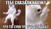 тебе сказали нахуй? что ты сука тут еще делаешь?