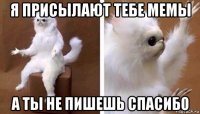 я присылают тебе мемы а ты не пишешь спасибо