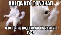 когда кто то узнал что ты не подписан на контур гуся