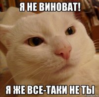 я не виноват! я же все-таки не ты