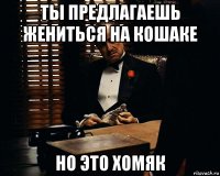 ты предлагаешь жениться на кошаке но это хомяк