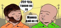 ??? Что такое кс го Мамка дай кс го