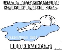 чувство, когда ты хотела чтоб на днюшку подарили собаку но отказались..:'(