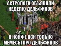 астрологи объявили неделю дельфинов в конфе кск только мемесы про дельфинов