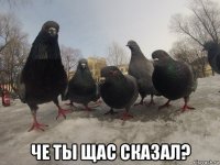  че ты щас сказал?