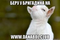 беру у бригадина на www.danabol.club