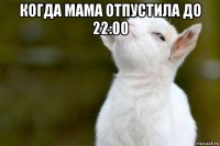 когда мама отпустила до 22:00 