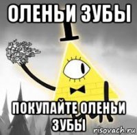 оленьи зубы покупайте оленьи зубы