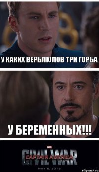 у каких верблюлов три горба у беременных!!!