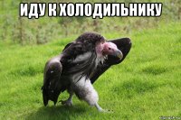 иду к холодильнику 
