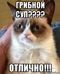 грибной суп???? отлично!!!