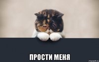  прости меня