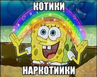 котики наркотиики