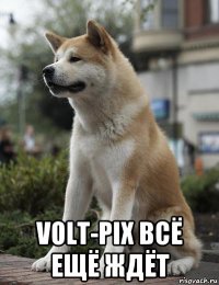  volt-pix всё ещё ждёт