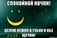 спокойной ночки! целую нежно в губки и обе щечки!