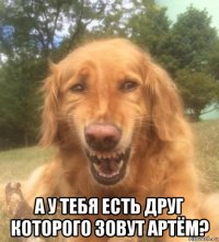  а у тебя есть друг которого зовут артём?