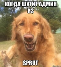 когда шутит админ из sprut