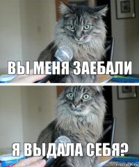 Вы меня заебали я выдала себя?