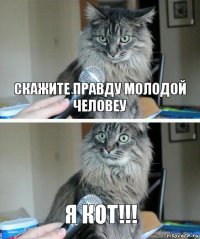 скажите правду молодой человеу Я КОТ!!!