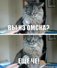 Вы из Омска? Еще че!