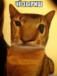 чё зыриш 