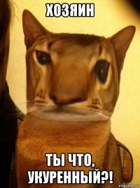 хозяин ты что, укуренный?!
